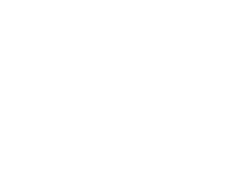 Team Pokorny